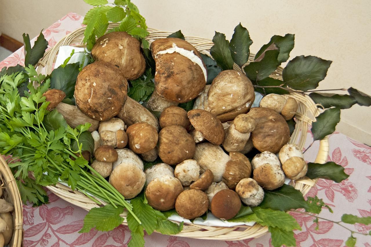 Locanda Solagna Quero Luaran gambar