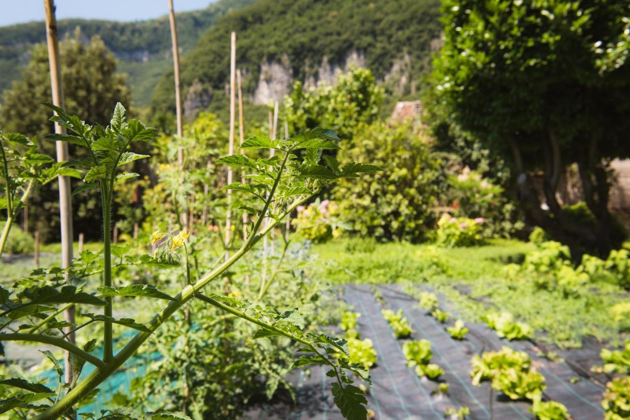 Locanda Solagna Quero Luaran gambar